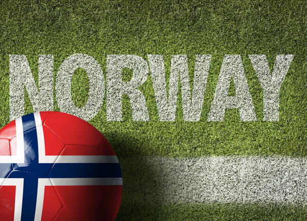Norway Ball in field