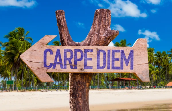 Carpe Diem wooden arrow — Stock Photo, Image