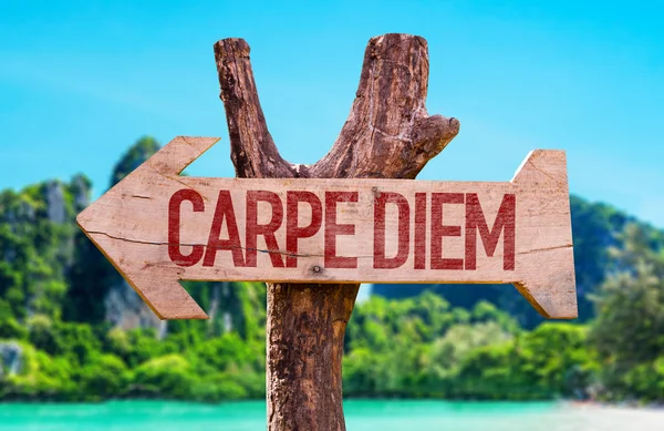 Carpe Diem wooden arrow — Stock Photo, Image