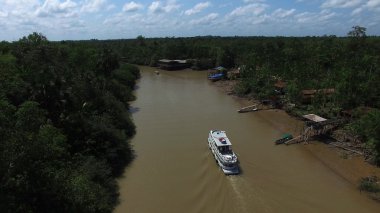 Brezilya'da Amazon nehri