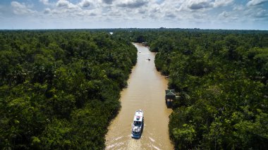 Brezilya'da Amazon nehri
