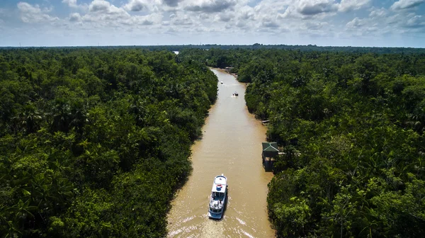 Brezilya'da Amazon nehri — Stok fotoğraf