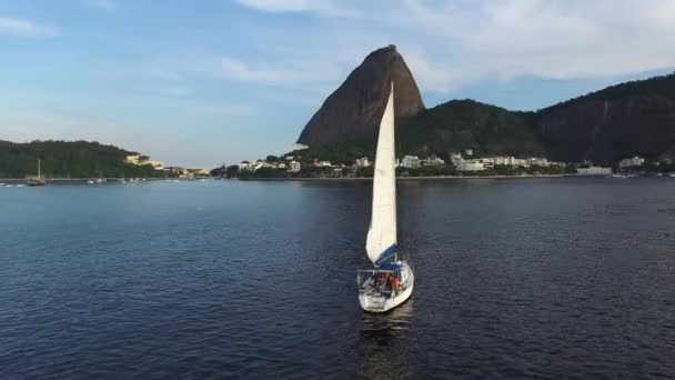 Sailboat Travel on Guanabara Bay — Stock Video
