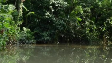 Amazon nehri üzerinde tekne seyahat