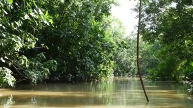 Amazon nehri üzerinde tekne seyahat