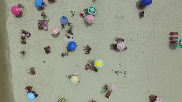 Skara människor på en strand — Stockvideo