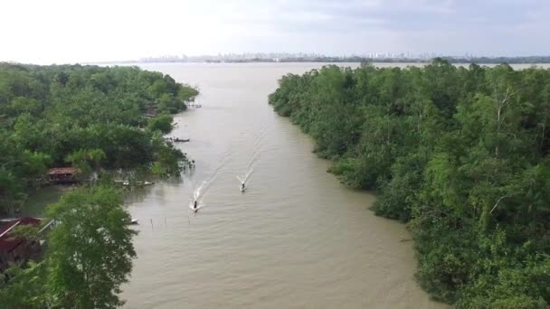 Amazon River in Brazil — Stock Video