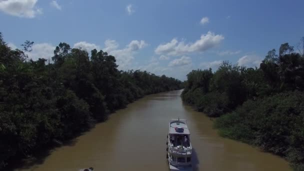 Αμαζονίου ποταμού στη Βραζιλία — Αρχείο Βίντεο
