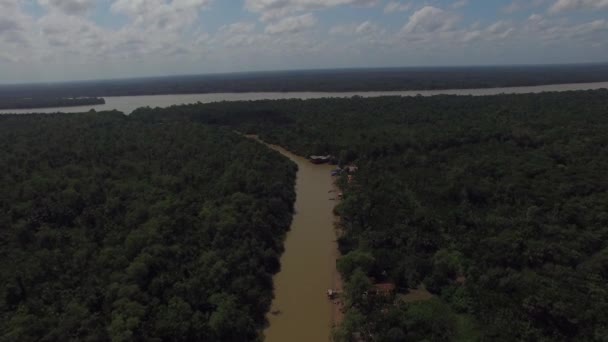 Rivière Amazone au Brésil — Video