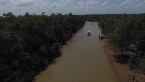 Brezilya'da Amazon nehri — Stok video