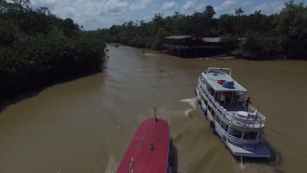 Басейні річки Амазонки в Бразилії — стокове відео