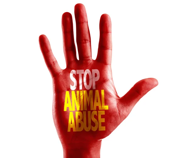 Stop Animal Abuse written on hand — Stock Photo, Image