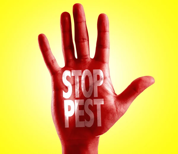 Stop Pest written on hand — Stock Photo, Image