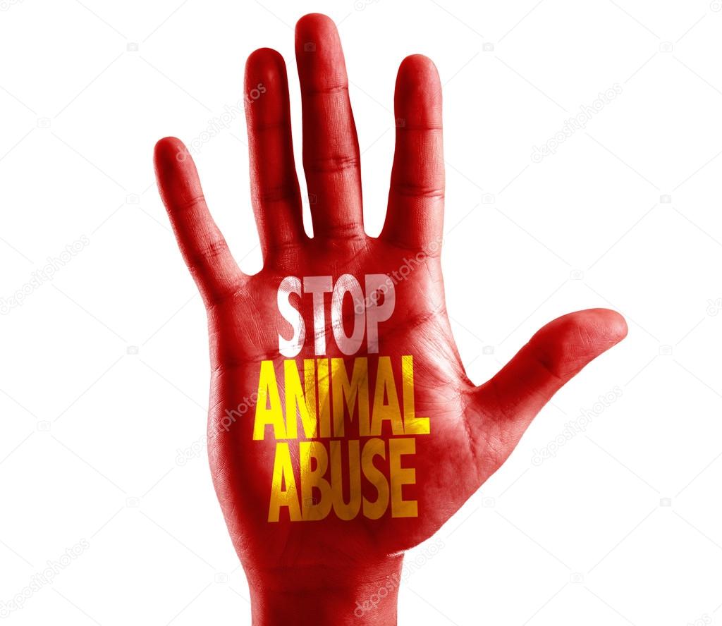 Stop Animal Abuse written on hand