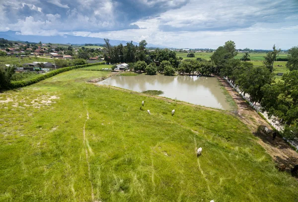 Farm in Sao Paulo, Brazil — Stock Photo, Image