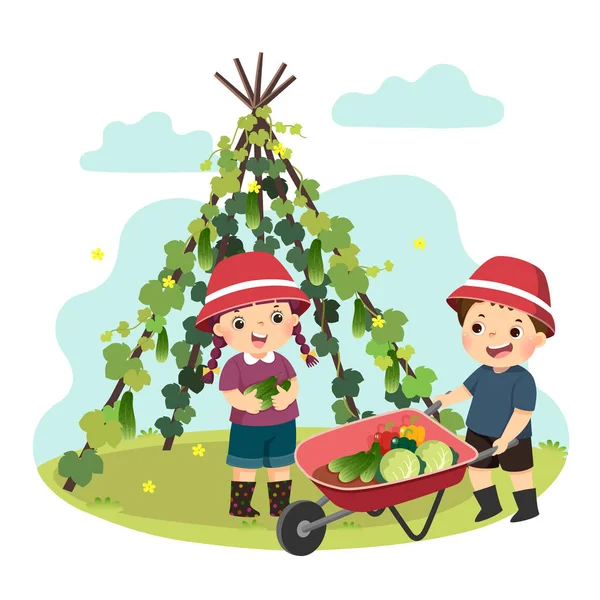 Векторная Иллюстрация Рисунка Маленького Мальчика Девочки Собирающих Овощи Саду Дети — стоковый вектор