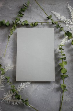 Notlar için çok renkli arkaplan