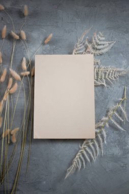 Notlar için çok renkli arkaplan