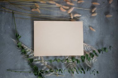 Notlar için çok renkli arkaplan