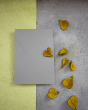 Notlar için çok renkli arkaplan