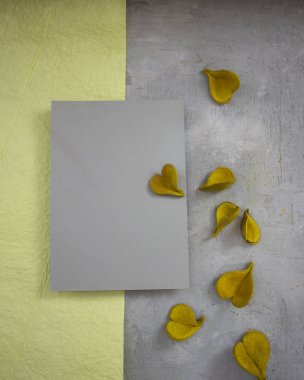 Notlar için çok renkli arkaplan