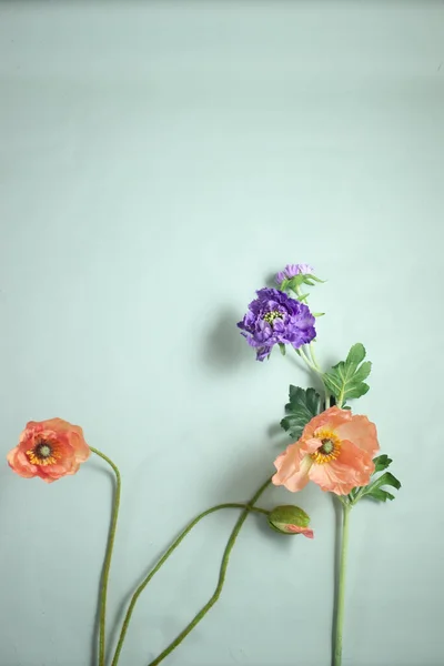 Brillante Fondo Verano Con Flores — Foto de Stock