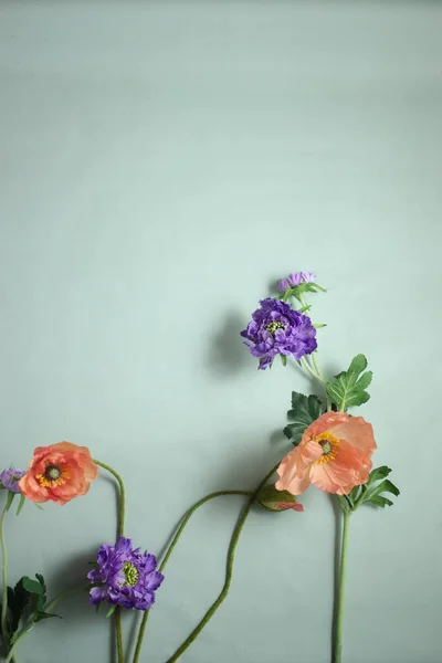 Brillante Fondo Verano Con Flores — Foto de Stock