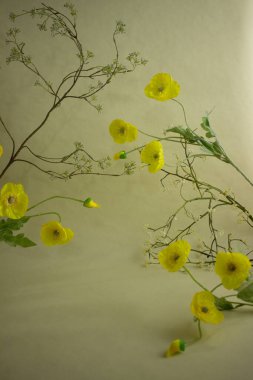 Renkli arkaplanda farklı çiçekler