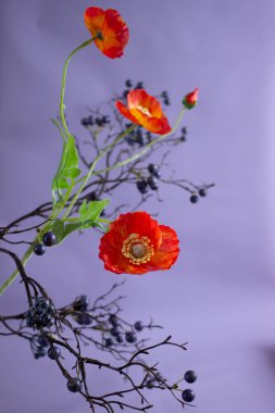 Renkli arkaplanda farklı çiçekler