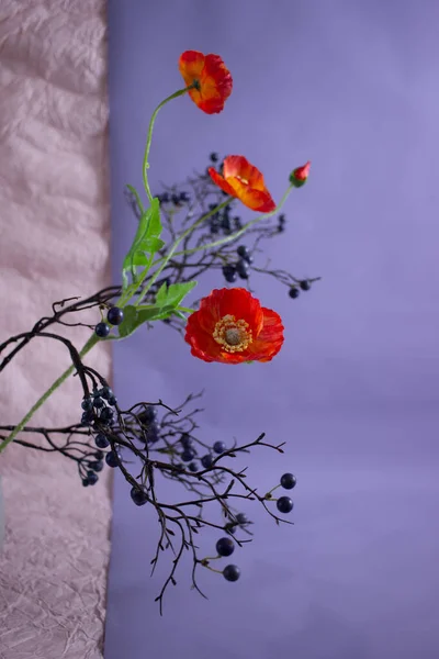 Diferentes Flores Sobre Fondo Color — Foto de Stock