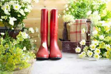 Bahçe kauçuk botlarında bahar işleri. Teneke ve çiçekleri suluyor.