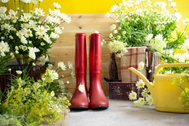 Bahçe kauçuk botlarında bahar işleri. Teneke ve çiçekleri suluyor.