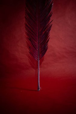 Kırmızı arkaplanda kırmızı bir nar yatar.