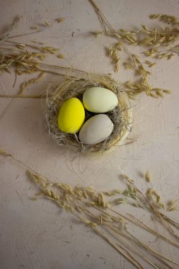 Yuvadaki paskalya yumurtaları