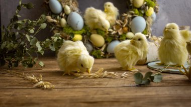 Ahşap arka planda sarı tavuklar