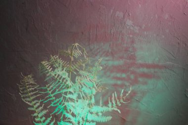 beyaz yapraklı pembe arkaplan