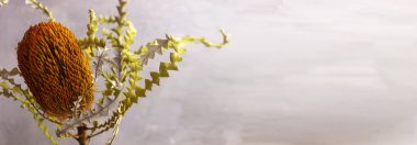 Gri arka planda egzotik çiçekler