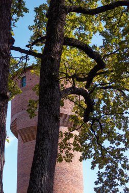 Büyük ağaçlar tuğla kaleyi kaplıyor.