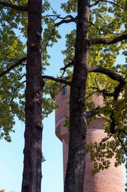 Büyük ağaçlar tuğla kaleyi kaplıyor.