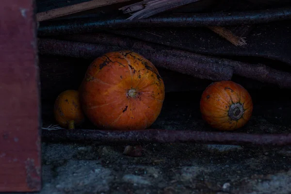 Různé Dýně Ležící Venku Farmě — Stock fotografie