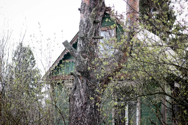 Altes Haus Sommer Auf Dem Land — Stockfoto