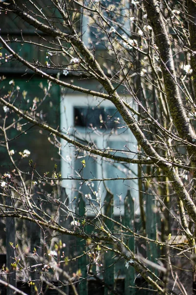 Old House Summer Countryside — Stock Photo, Image