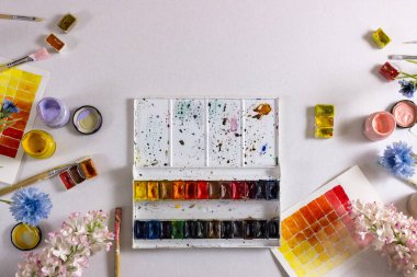 Beyaz arka planda boyalı farklı fırçalar