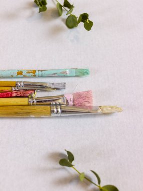 Beyaz arka planda boyalı farklı fırçalar