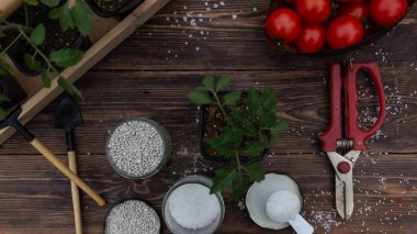 Bahçe ekiminde bahar işleri