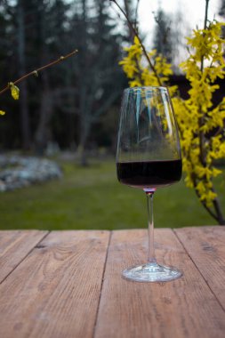 Bahçe ekiminde bahar işleri