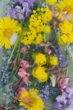 Bahar çiçekleriyle süslü çiçek arkaplanı. Sarı ve mavi. Buzlu bardağın altında çiğ damlaları var.