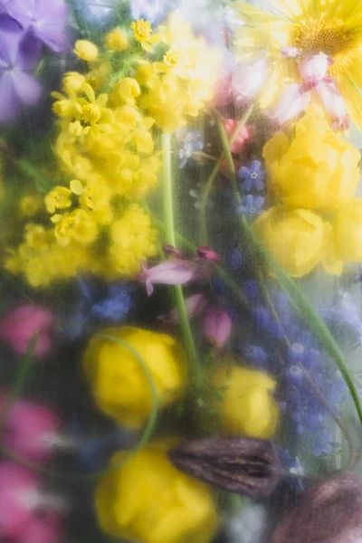 Fondo Floral Con Flores Primavera Amarillo Azul Bajo Vidrio Esmerilado — Foto de Stock
