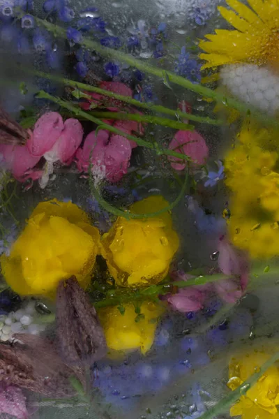 Fond Floral Avec Des Fleurs Printemps Jaune Bleu Sous Verre — Photo