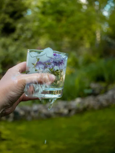 Szklankę Lodu Wodą Liliowymi Kwiatami — Zdjęcie stockowe
